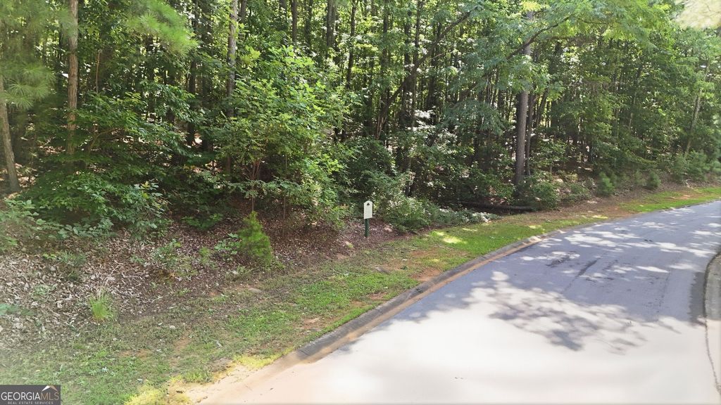 LOT 725 Plum Lane, Clarkesville, GA 30523 — photo 4
