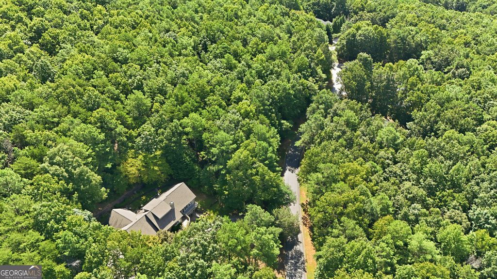 LOT 725 Plum Lane, Clarkesville, GA 30523 — photo 5
