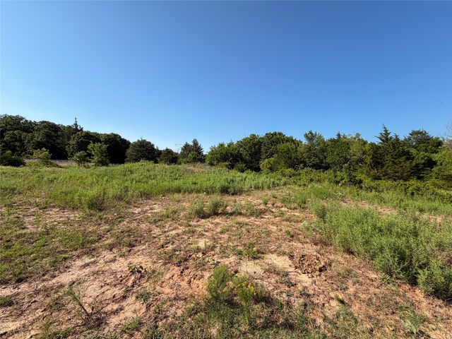 TBD Carminati Road, Montague, TX 76251