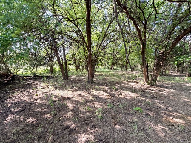 TBD Carminati Road, Montague, TX 76251