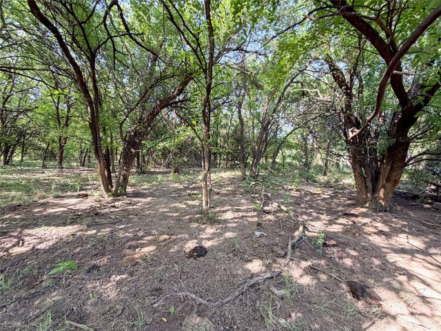 TBD Carminati Road, Montague, TX 76251