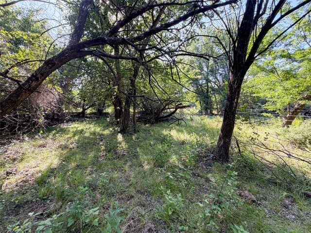 TBD Carminati Road, Montague, TX 76251