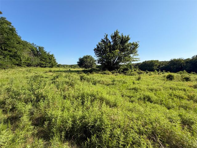 TBD Carminati Road, Montague, TX 76251
