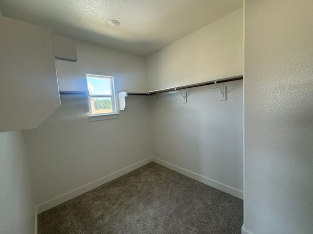 709 Water Side Drive, Van Alstyne, TX 75495