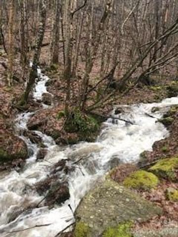 13 Galega Trail, Maggie Valley, NC 28751