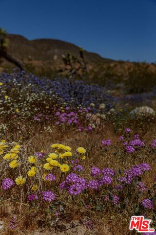 55626 Pipes Canyon Road, Yucca Valley, CA 92284