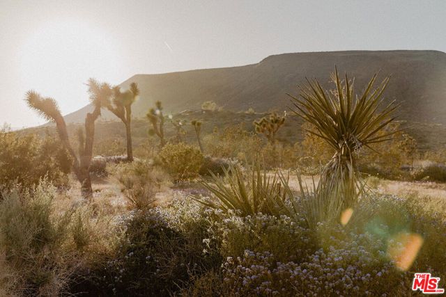 55626 Pipes Canyon Road, Yucca Valley, CA 92284