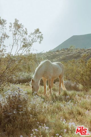 55626 Pipes Canyon Road, Yucca Valley, CA 92284