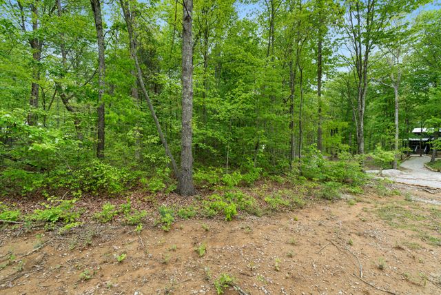 25 Fireside Ct, Monteagle, TN 37356