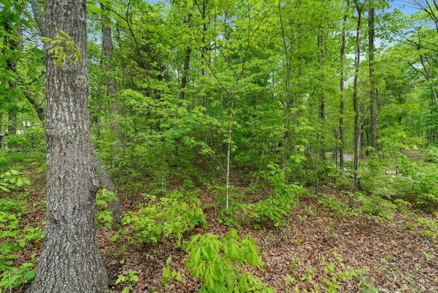 25 Fireside Ct, Monteagle, TN 37356