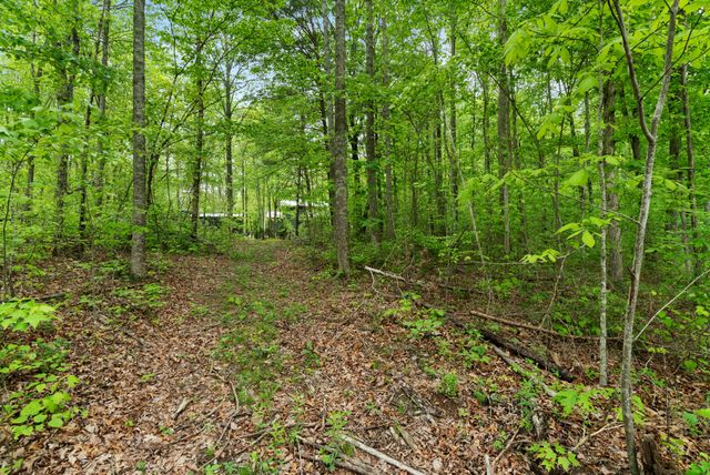 25 Fireside Ct, Monteagle, TN 37356