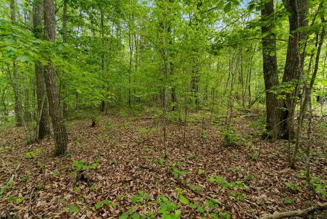 25 Fireside Ct, Monteagle, TN 37356