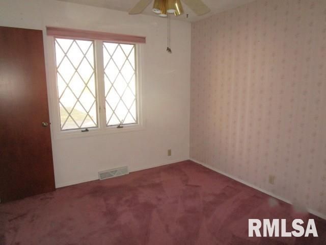 302 PALM Street, Canton, IL 61520