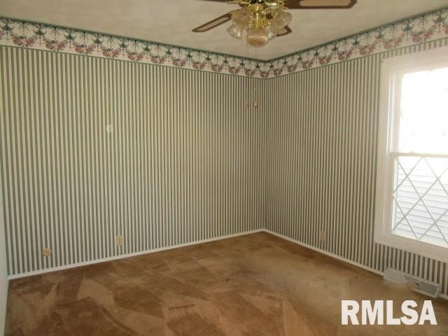 302 PALM Street, Canton, IL 61520