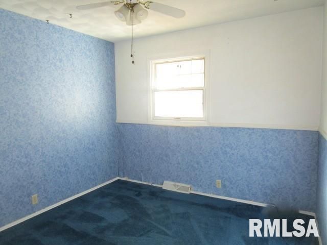 302 PALM Street, Canton, IL 61520