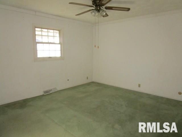 302 PALM Street, Canton, IL 61520