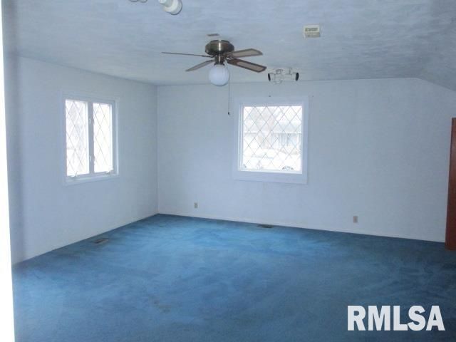 302 PALM Street, Canton, IL 61520