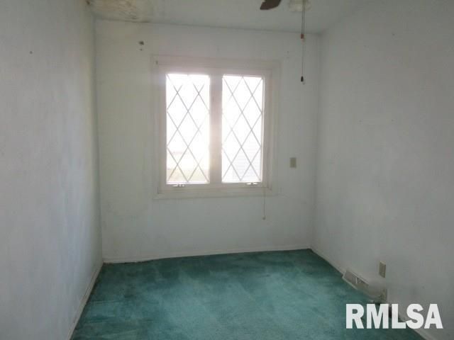 302 PALM Street, Canton, IL 61520