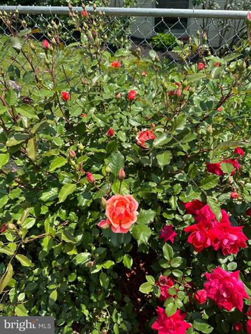 4061 LOCUST LN, Harrisburg, PA 17109