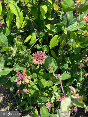 4061 LOCUST LN, Harrisburg, PA 17109