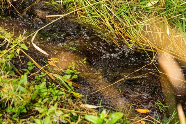 TBD 19th Avenue, Bozeman, MT 59718