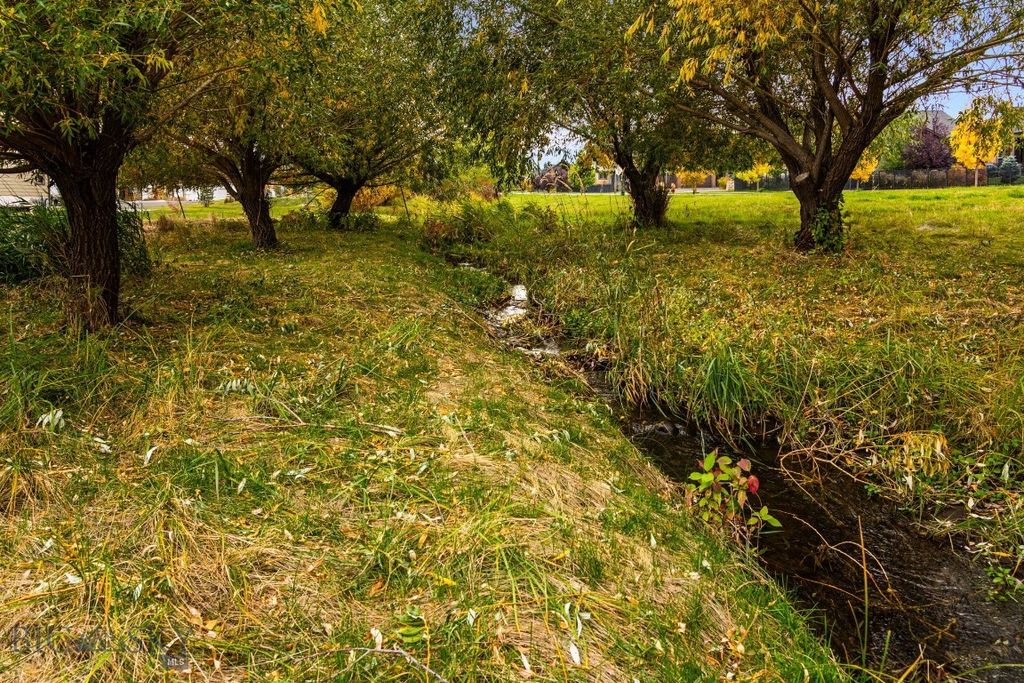 TBD 19th Avenue, Bozeman, MT 59718 photo 41