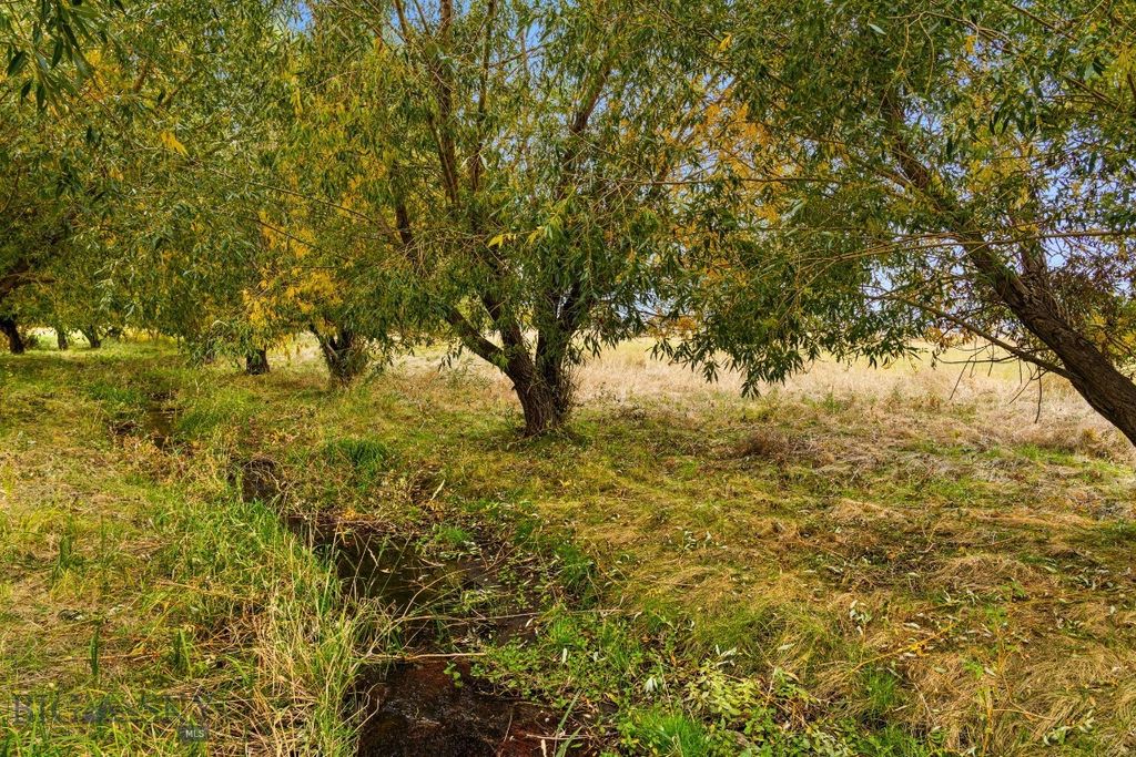 TBD 19th Avenue, Bozeman, MT 59718 photo 45