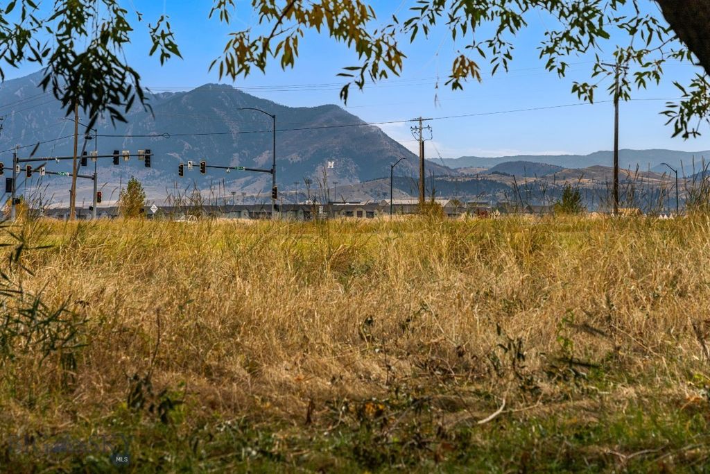 TBD 19th Avenue, Bozeman, MT 59718 photo 46