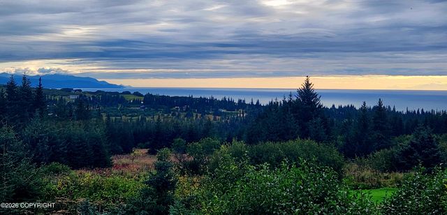 41236 Volcano View Court, Homer, AK 99603