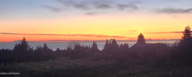 41236 Volcano View Court, Homer, AK 99603