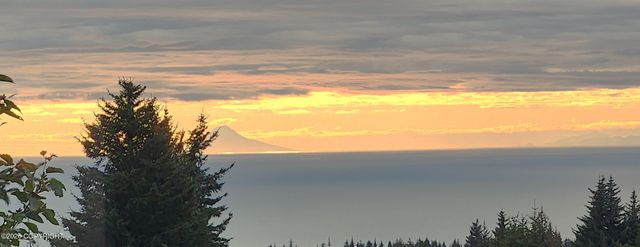 41236 Volcano View Court, Homer, AK 99603