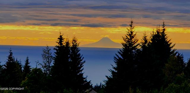 41236 Volcano View Court, Homer, AK 99603