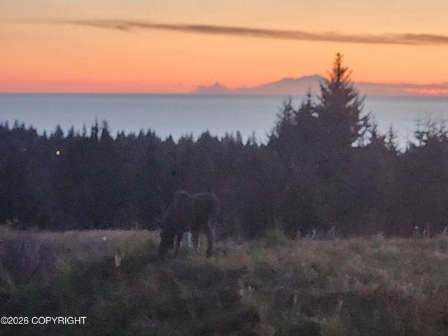 41236 Volcano View Court, Homer, AK 99603