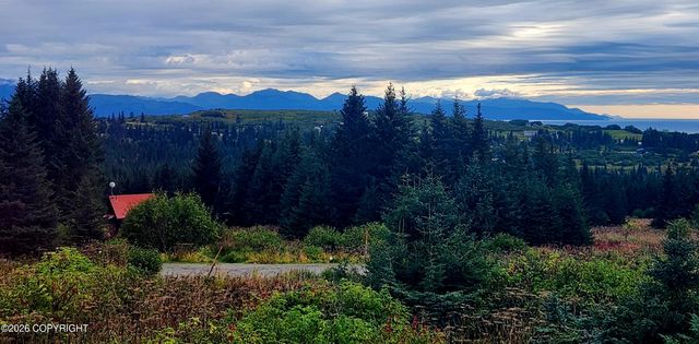 41236 Volcano View Court, Homer, AK 99603