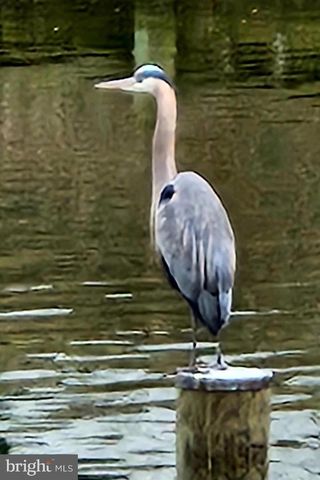 34 JOHNSON RD, Pasadena, MD 21122