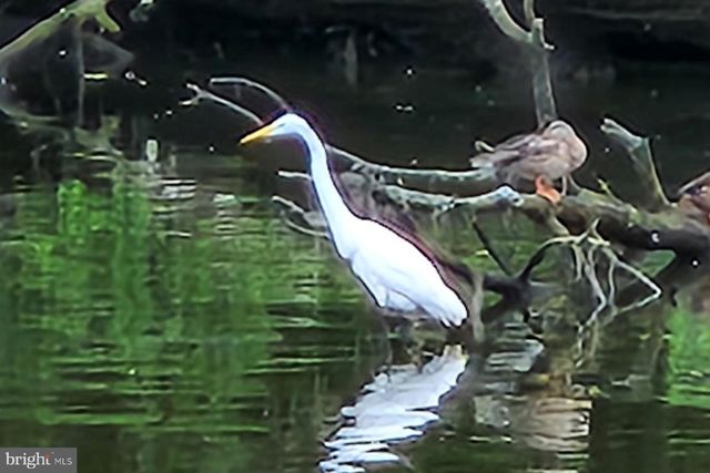 34 JOHNSON RD, Pasadena, MD 21122