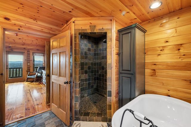 180 Cinnamon Bear, Mineral Bluff, GA 30559