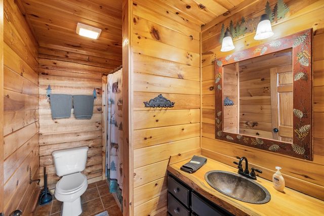 180 Cinnamon Bear, Mineral Bluff, GA 30559