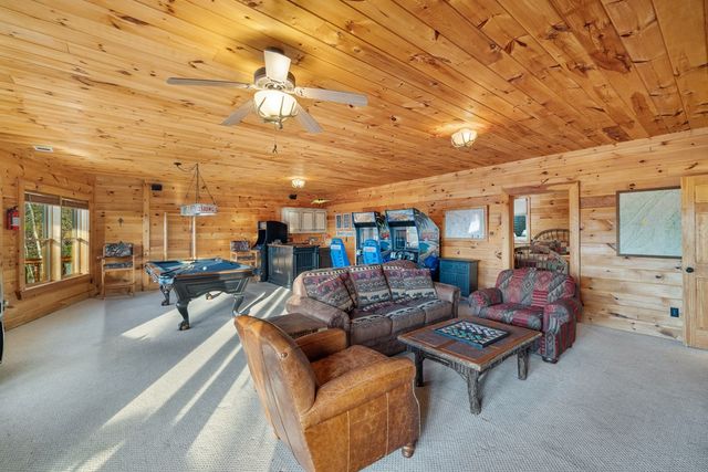 180 Cinnamon Bear, Mineral Bluff, GA 30559