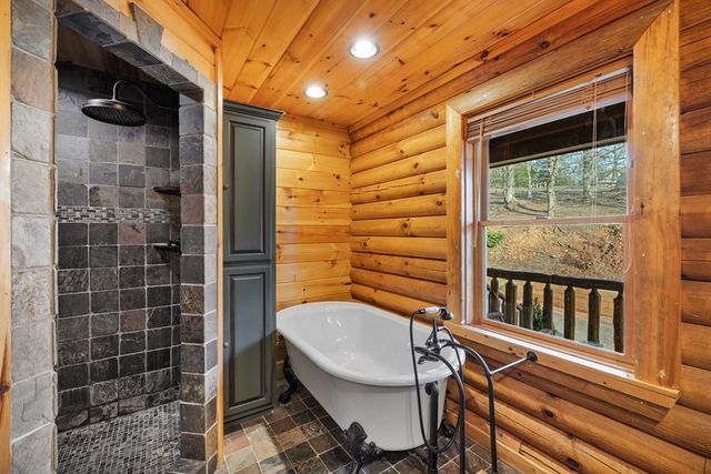 180 Cinnamon Bear, Mineral Bluff, GA 30559