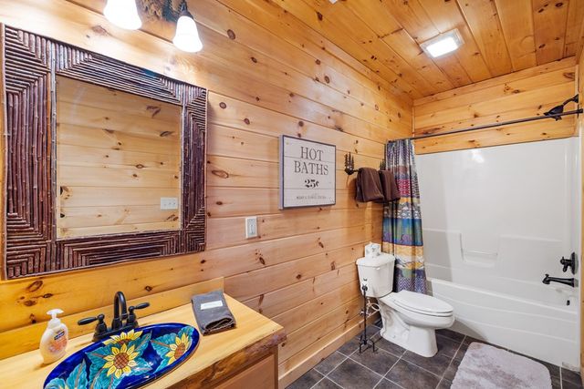 180 Cinnamon Bear, Mineral Bluff, GA 30559