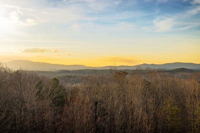 180 Cinnamon Bear, Mineral Bluff, GA 30559