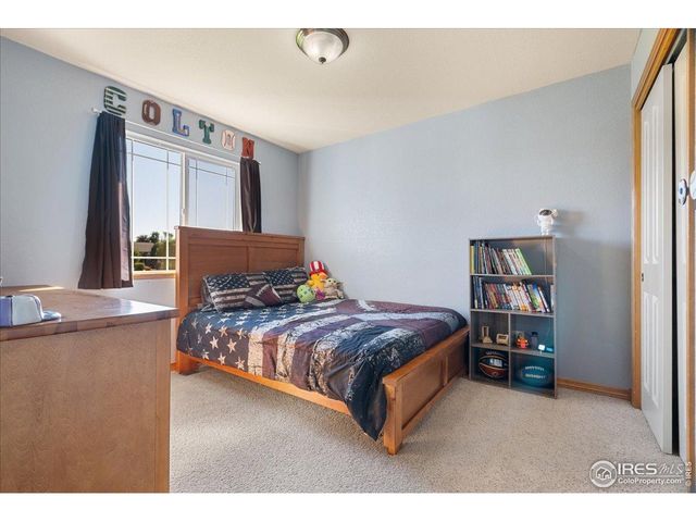 6635 Cranesbill St, Wellington, CO 80549