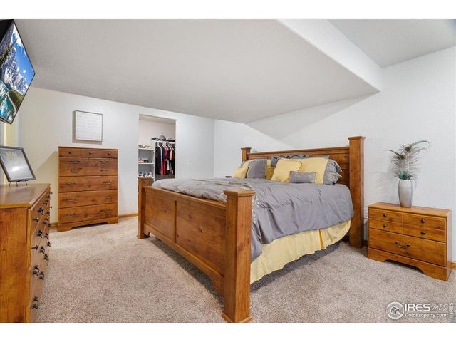 6635 Cranesbill St, Wellington, CO 80549