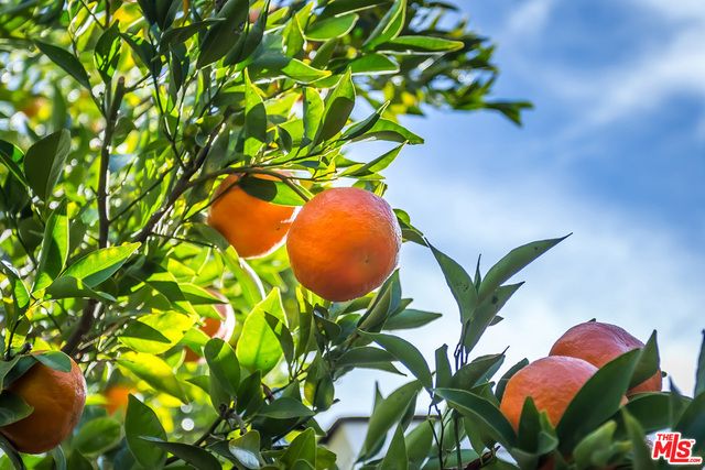 9980 BRADDOCK Drive, Culver City, CA 90232