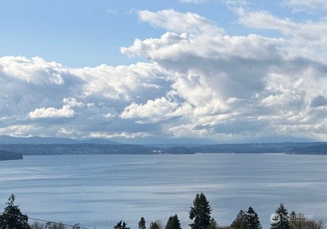 7341 California Avenue SW, Seattle, WA 98136