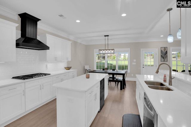 201 Edgewood Drive, Chapin, SC 29036