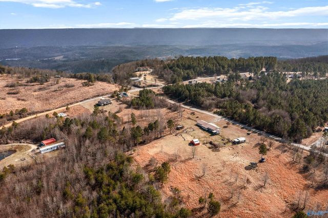 2962 County Road 140, Ider, AL 35981