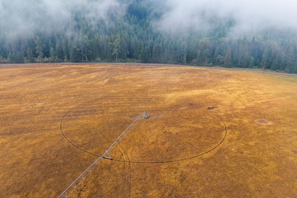 361 Lone Ranch Creek Rd, Curlew, WA 99121 photo 3