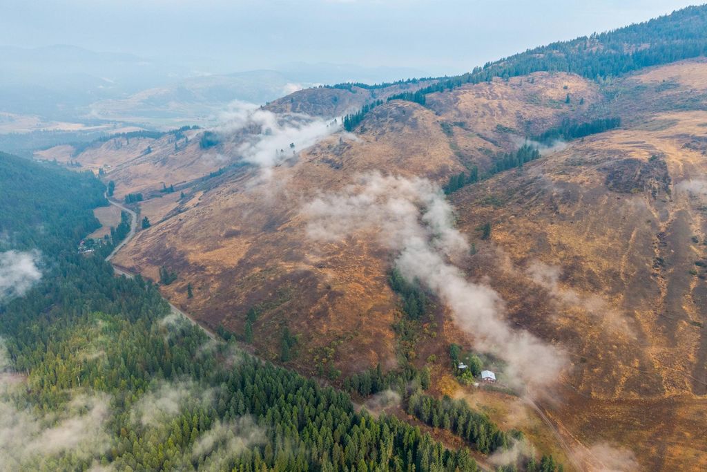 361 Lone Ranch Creek Rd, Curlew, WA 99121 photo 30